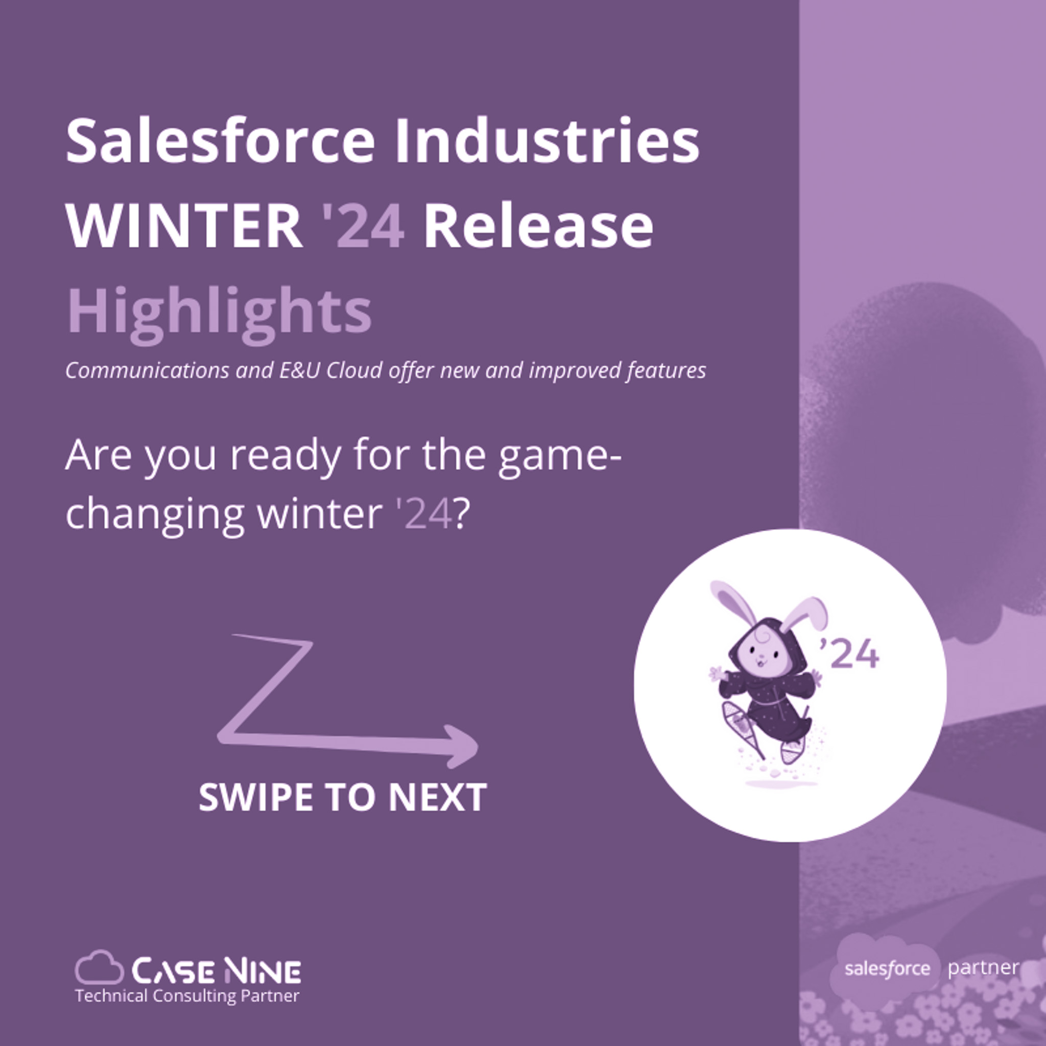 Salesforce Industries Winter Release '24 Casenine